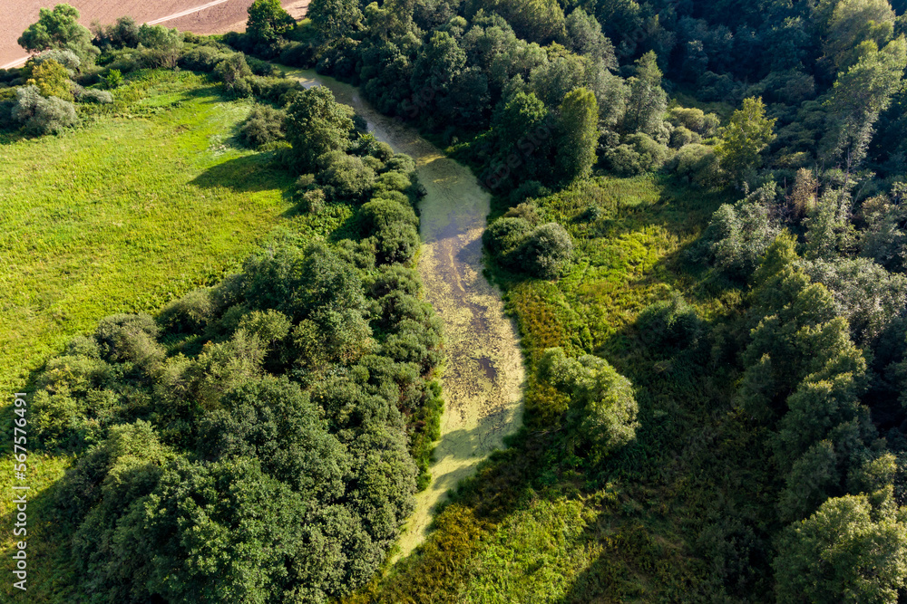 Aerial view of a swampy oxbow lake in the midst of dense greenery Aerial view of a swampy oxbow lake in the midst of dense greenery