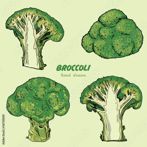Vector set of hand drawn broccoli
