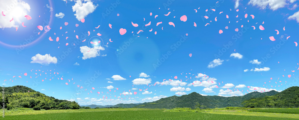 青空と春の桜　風に舞うサクラの花びら