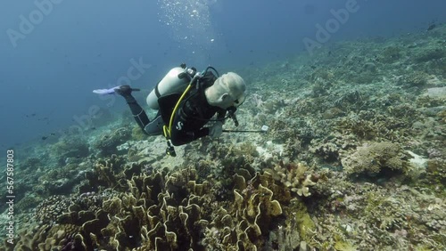 Slow motion shot Diver on background School of fish underwater landscape in Kepulauan Banda Indonesia. Swimming in world colorful beautiful wildlife of reefs and algae. Inhabitants in search of food.