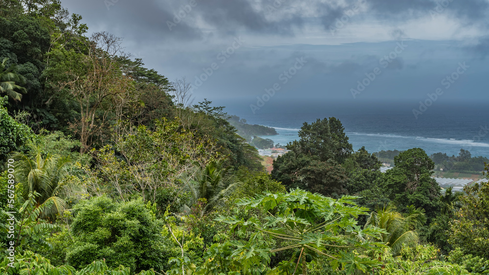 From the hill, overgrown with lush tropical vegetation, you can see the turquoise ocean, foaming waves. Clouds in the sky. Seychelles. Mahe