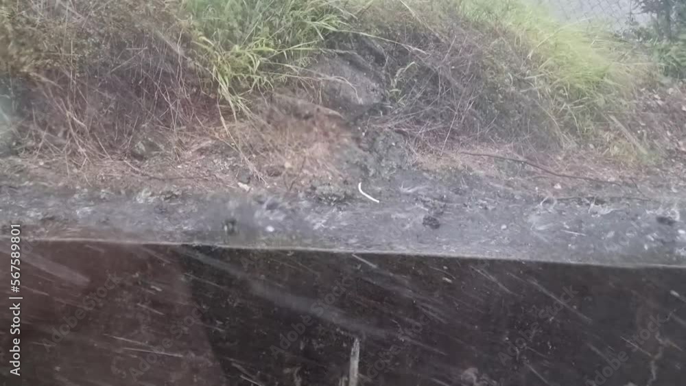 Heavy rain, hail and flooding while parked on side of Auckland highway looking down at the gutter Heavy rain, hail and flooding while parked on side of Auckland highway looking down at the gutter