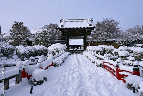 積雪の京都市岩倉妙満寺 山門と参道