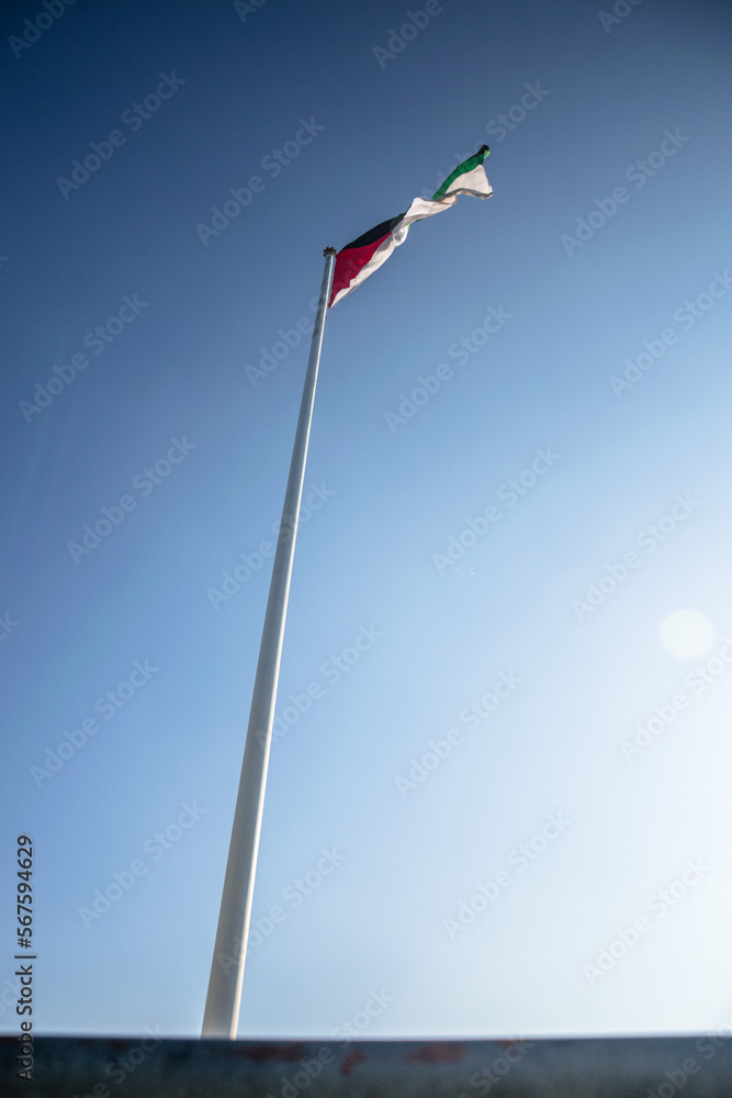 flaga powiewająca na wietrze - obrazy, fototapety, plakaty 