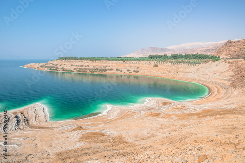 turkusowa woda wybrzeża morza martwego © DawidFastMan