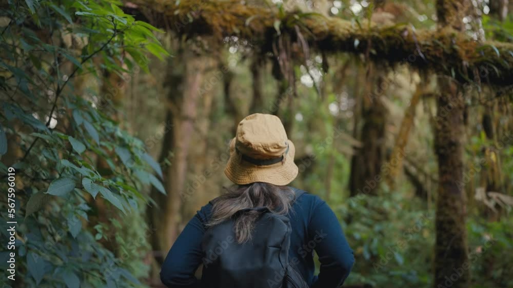 Back view of a young backpacker woman walking alone in the forest wearing a yellow hat. Journeys and holiday activities Back view of a young backpacker woman walking alone in the forest wearing a yellow hat. Journeys and holiday activities