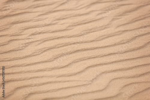 Top view of beautiful golden sand dunes with ripples in desert
