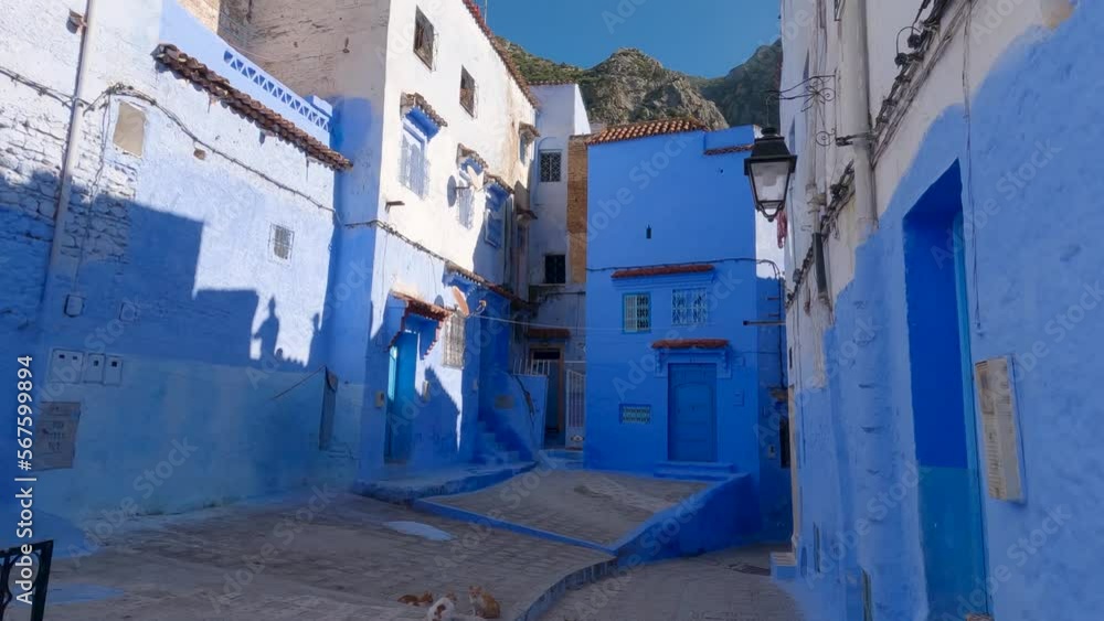 Slow Tilt Down View Across Idyllic Blue Courtyard In Chefchaouen With Group Of Cats On Ground Slow Tilt Down View Across Idyllic Blue Courtyard In Chefchaouen With Group Of Cats On Ground