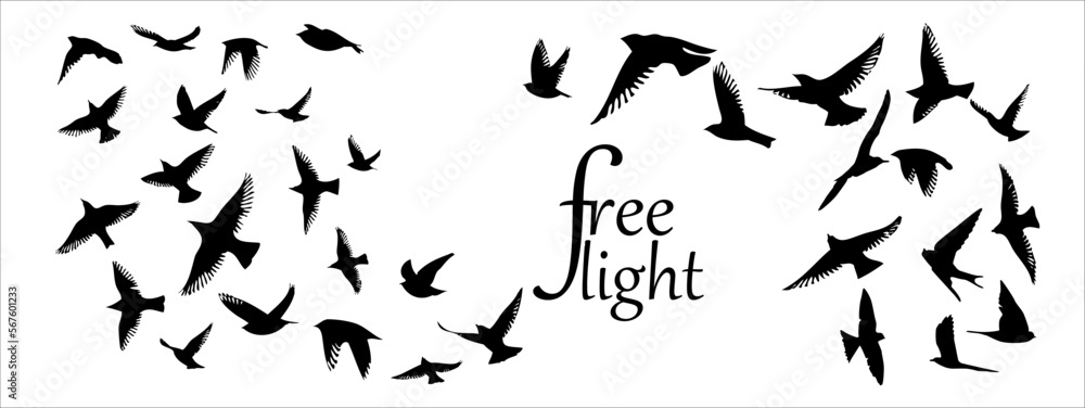A flock of flying birds. Free birds. Vector illustration A flock of flying birds. Free birds. Vector illustration