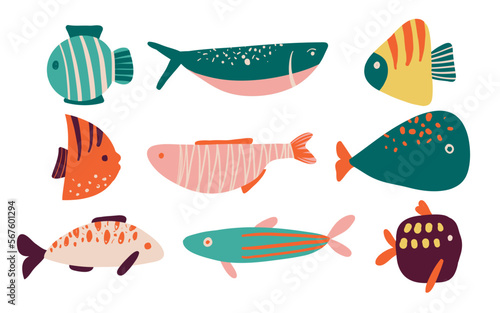 Collection of vector hand drawn cute fishes in a flat style. Fishes body, vector icons