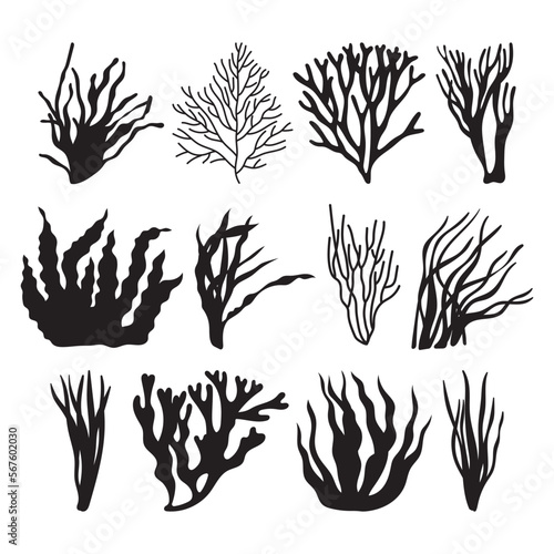 Seaweed illustrated silhouette, stencil templates set, objects for printing sublimation