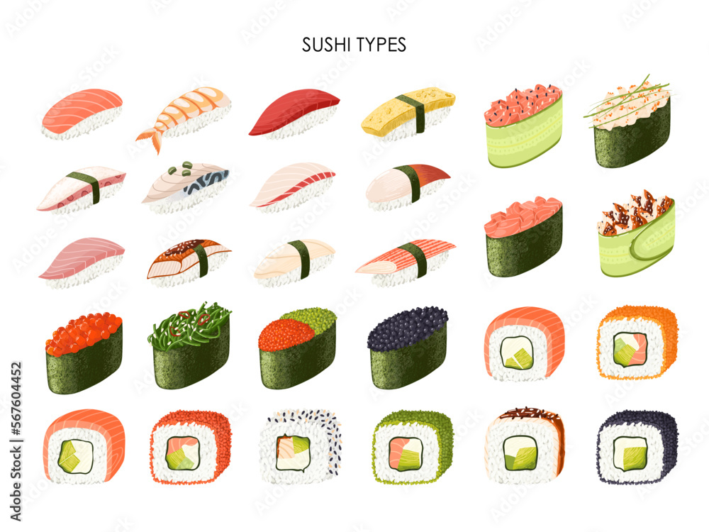 Japanese sushi types vector set. Rolls, nigiri and gunkan on white