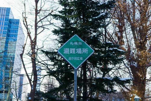 Wallpaper Mural winter sapporo Torontodigital.ca