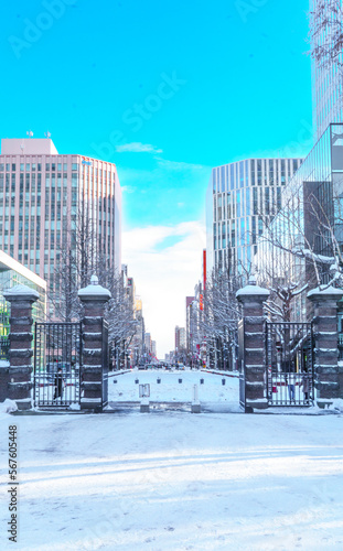 Wallpaper Mural winter sapporo Torontodigital.ca