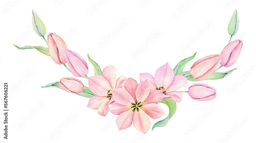 Watercolor pink tulip. Spring flowers isolated on white background. Floral Bouquet, Wreath, Frame. Decorative design elements. Watercolor pink tulip. Spring flowers isolated on white background. Floral Bouquet, Wreath, Frame. Decorative design elements.