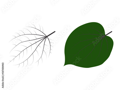 Simple leaf vector design isolated on white background.