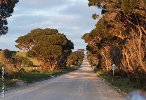 Redbanks Road, Kangaroo Island  photo