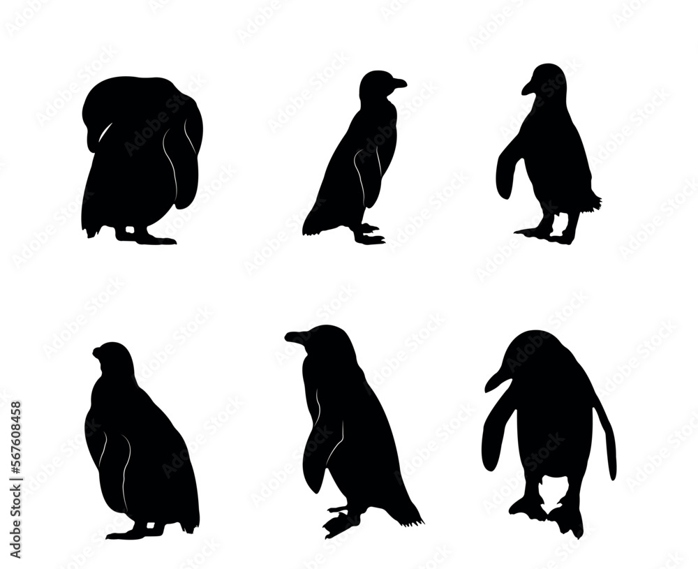 Fototapeta premium Collection of black silhouettes penguins