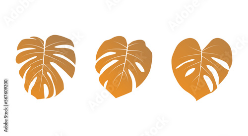 Creative leaf vector design and clip art.