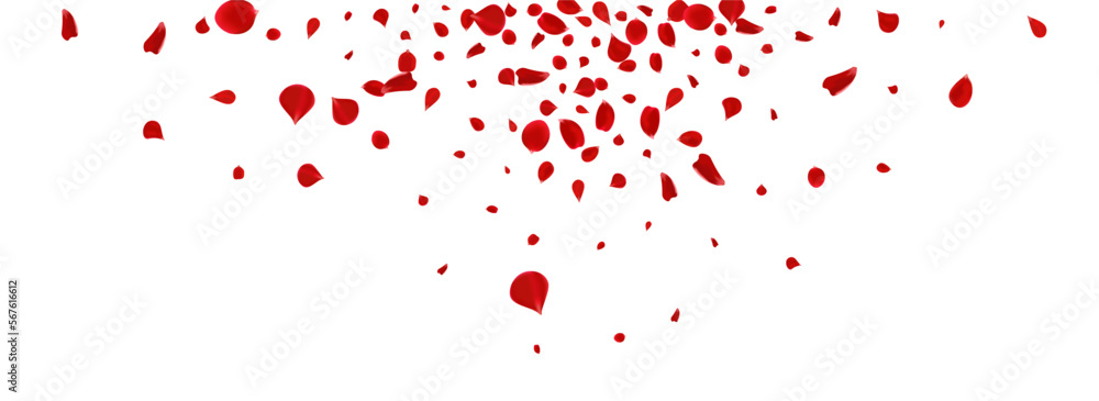 Red Floral Blur Vector Panoramic White