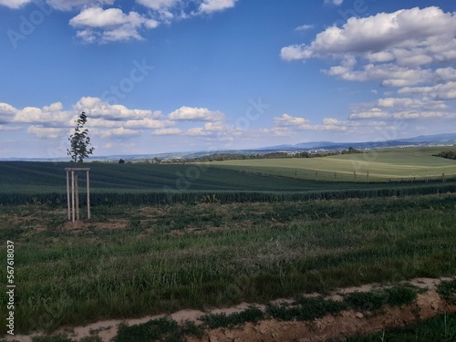 Trip to Chřiby (Chriby) in Moravia, Czech republic (Buchlov, Barborka, Velehrad, Tupesy, Břestecká skála, Bunč)