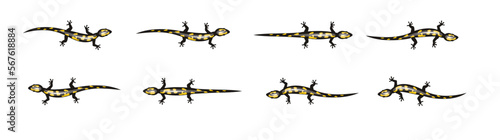 Salamander Animation Moving Cartoon Vector
