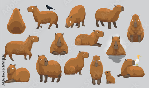 Capybara Various Cute Cartoon Poses Vector Illustration