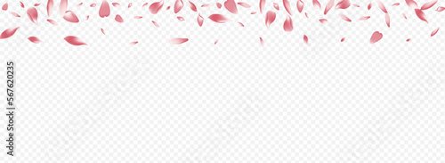 Color Cherry Vector Panoramic Transparent