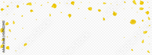 Lemon Lotus Fly Vector Panoramic Transparent