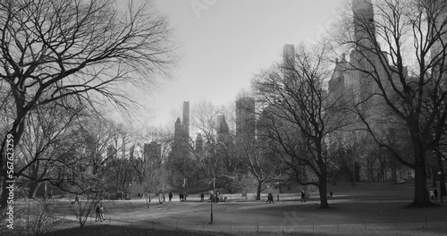 Monochrome Of City Central Park With People Strolling During Winter In Manhattan, New York, United States. Wide Shot photo