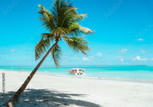 playa, de arena blanca y mar azul, palmera inclinada en primer plano