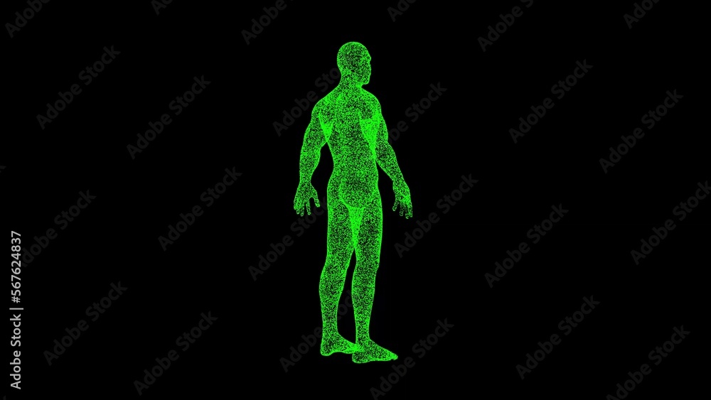 3D human body on black background. Object dissolved green flickering particles. Science concept. Abstract bg for title, presentation. Holographic screensaver. 3D animation 3D human body on black background. Object dissolved green flickering particles. Science concept. Abstract bg for title, presentation. Holographic screensaver. 3D animation
