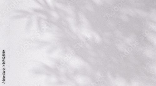 Quadro em tela Close up of soft and beautiful foliage dappled sunlight of tropical bamboo tree