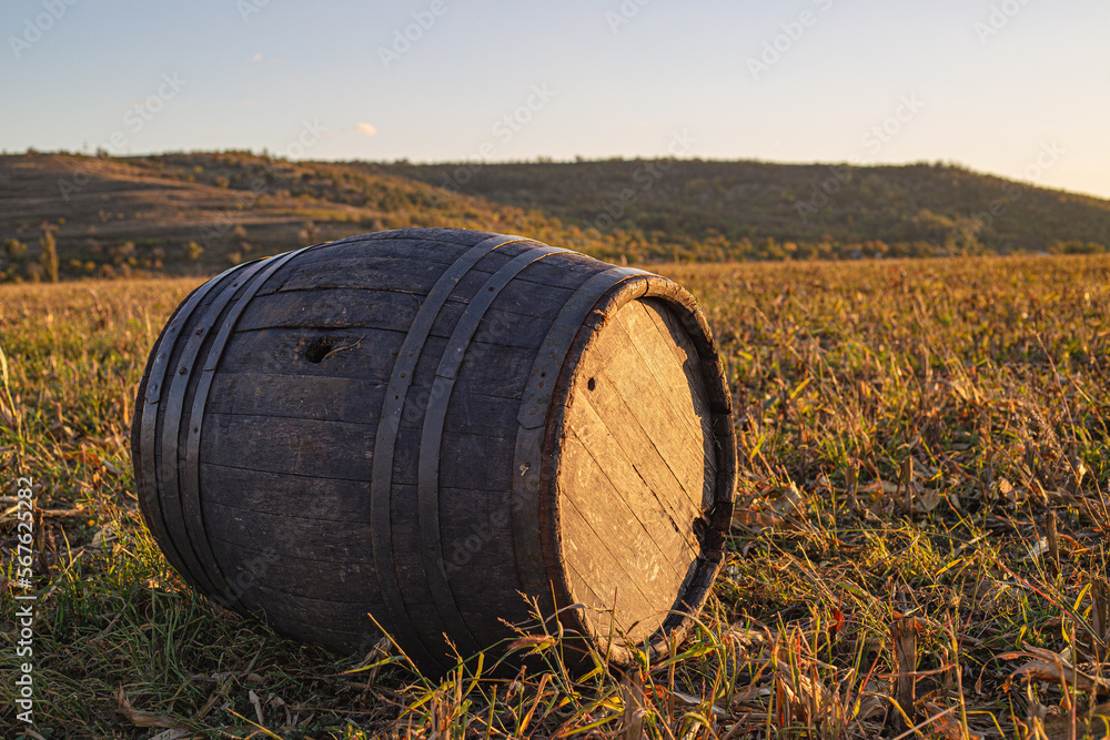 Obraz premium barrels of wine