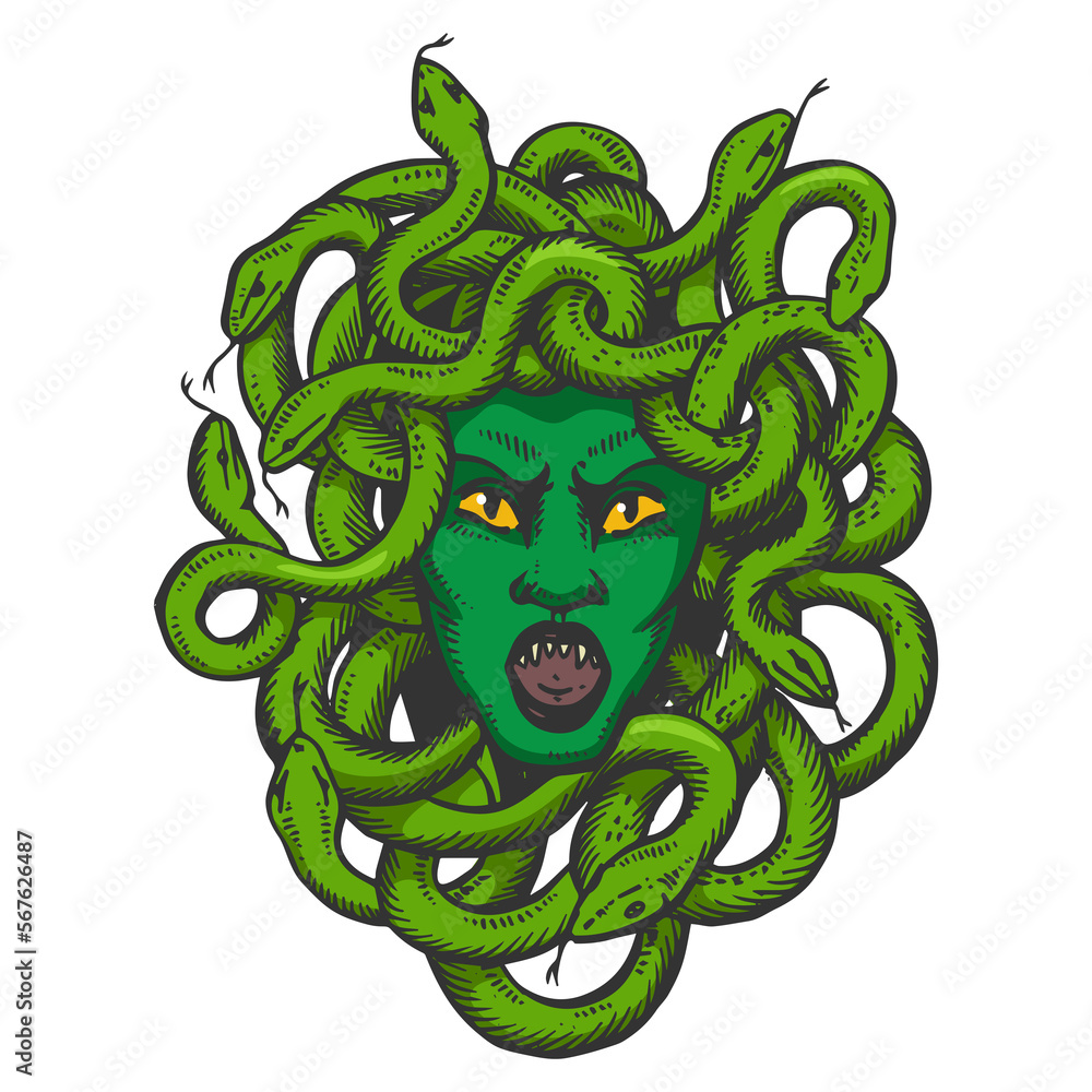 Medusa greek myth creature color sketch engraving PNG illustration with ...