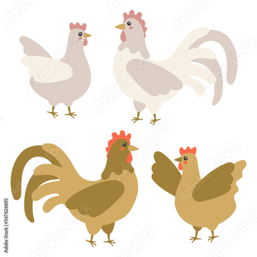 Collection of rooster and hen isolated on a white background. Brown and white set. A lovely lovely family of domestic birds. Children's flat
