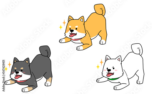 目を輝かせて遊ぼうと誘う３匹の柴犬のイラスト