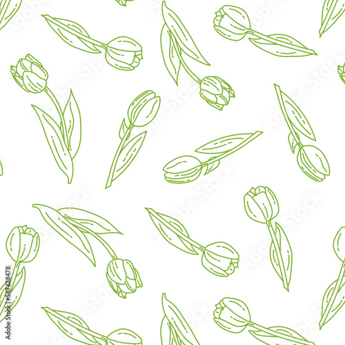 doodle seamless pattern with tulips on a white background with light green lines. Vector spring background for flower shop