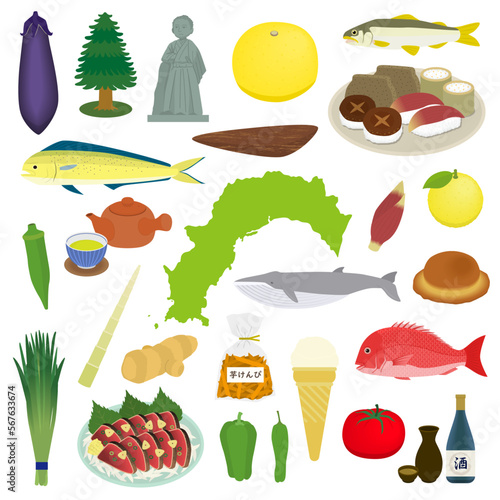 高知県の有名なもののイラスト