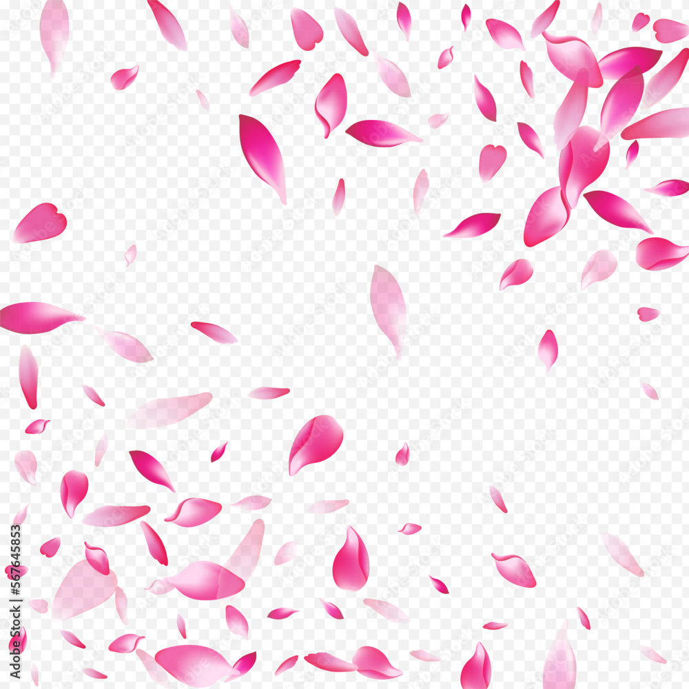 White Lotus Vector Transparent Background.