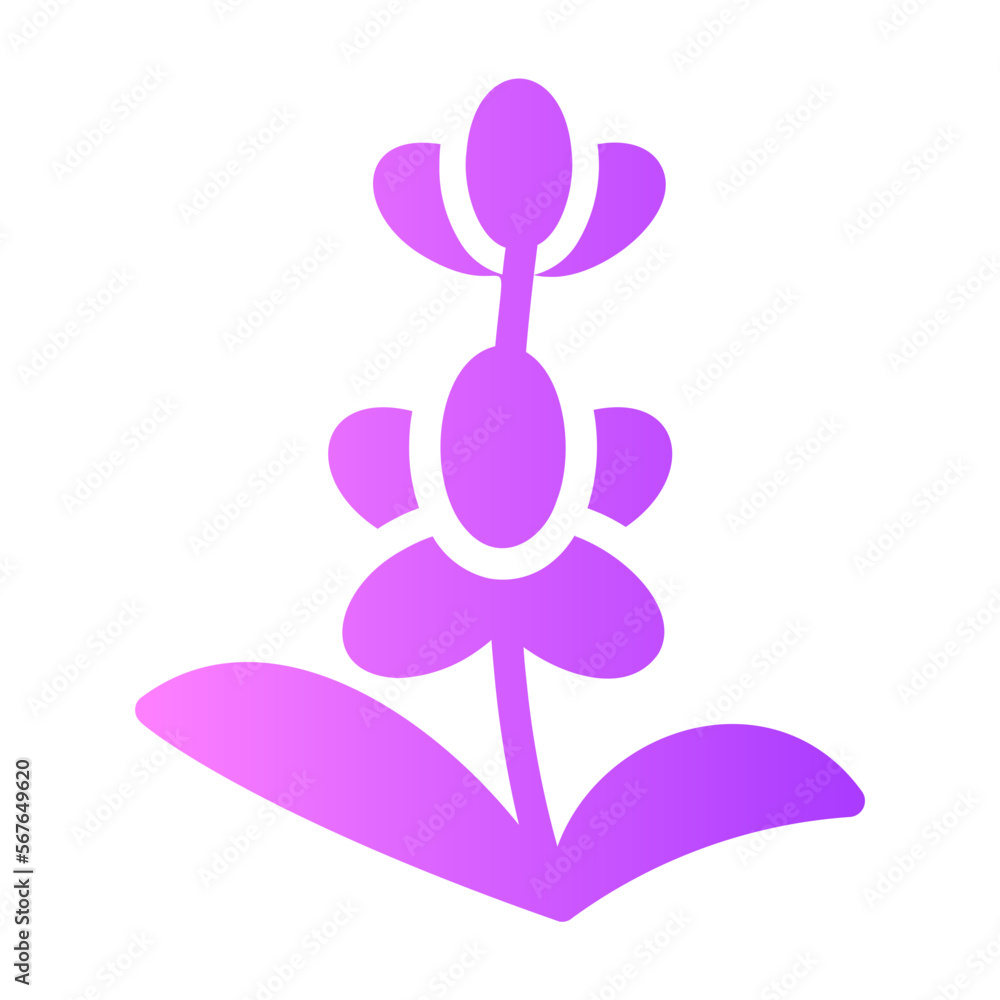 lavender gradient icon