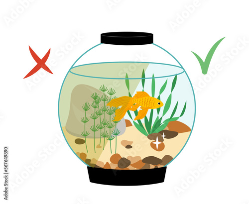 Round aquarium with dirty and clean fresh water. Flat, cartoon, vector