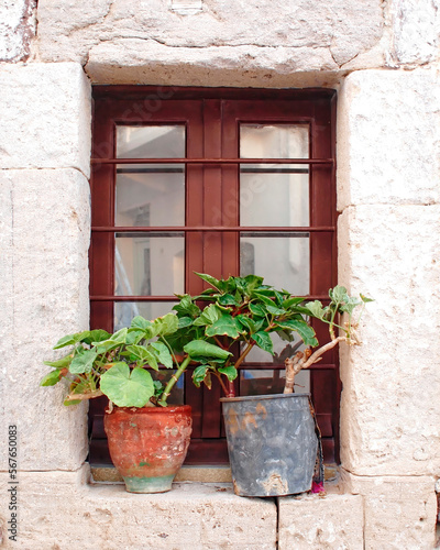 A brown window with flower pots on a whitewashed house wall. Travel to Milos island, Greece. © Dimitrios