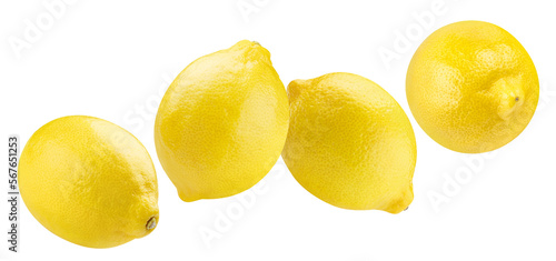 Flying delicious lemon fruits cut out
