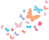 group of butterflies flying in multicolor flat format