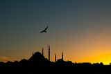 Silhouette of Suleymaniye Mosque and seagull at sunset. Islamic photo