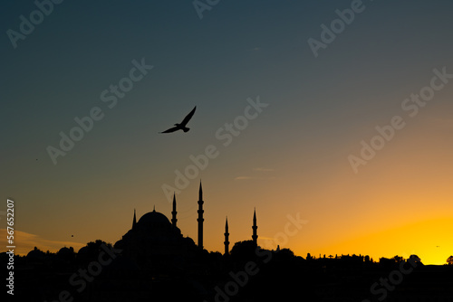 Silhouette of Suleymaniye Mosque and seagull at sunset. Islamic photo © senerdagasan