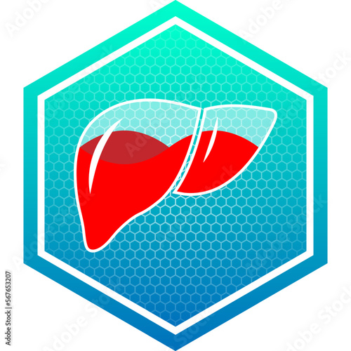Human Liver Digestive, Hepatic System Healthy Translucent Glass Container Fluid Blood Filled Medical Icon Logo Pictogram Hexagon Isolated on White Background
