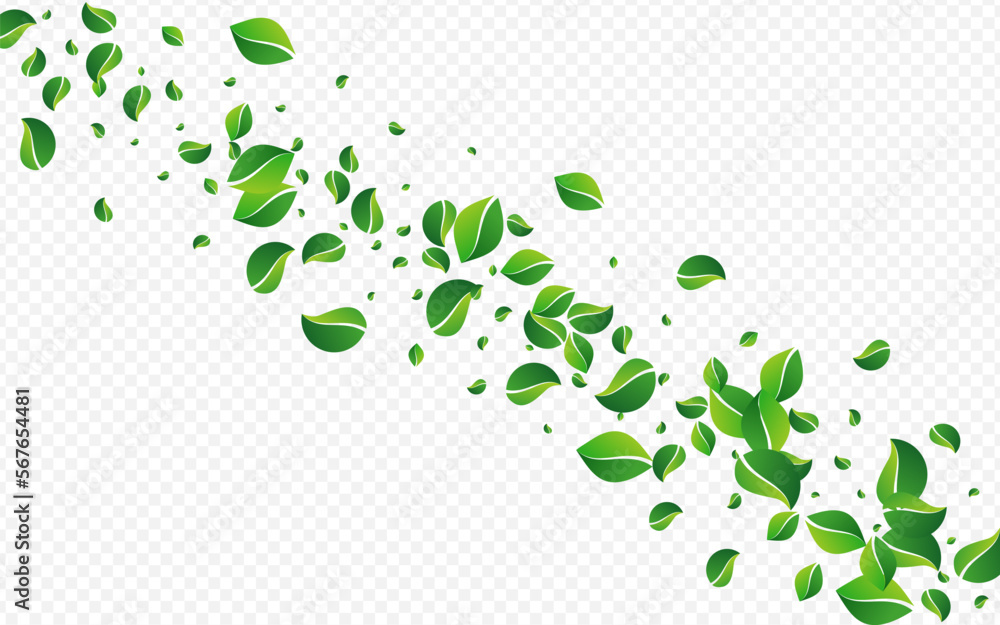 Mint Foliage Falling Vector Transparent Mint Foliage Falling Vector Transparent