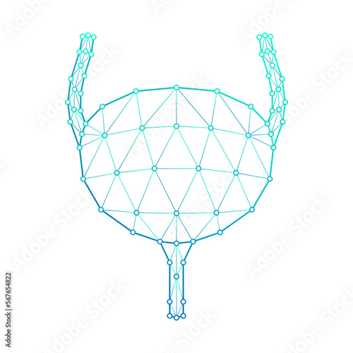Human Bladder Urinary System Polygonal Low Poly Triangulated Mesh Connect Dots Medical Logo Icon, Line Art Isolated on White Background